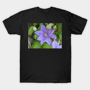 Clematis Fuji-Museme Flowers 3 T-Shirt